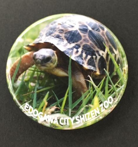 新商品 New缶バッチはじまります ニュース 自然動物園 公益財団法人 えどがわ環境財団 新商品 New缶バッチはじまります ニュース 自然動物園 公益財団法人 えどがわ環境財団