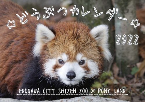 どうぶつカレンダー販売のお知らせ ニュース 自然動物園 公益財団法人 えどがわ環境財団 どうぶつカレンダー販売のお知らせ ニュース 自然動物園 公益財団法人 えどがわ環境財団