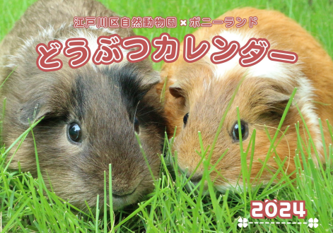 関連画像