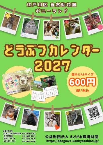 関連画像