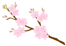 花とみどりのクイズ キッズページ 公益財団法人 えどがわ環境財団 花とみどりのクイズ キッズページ 公益財団法人 えどがわ環境財団