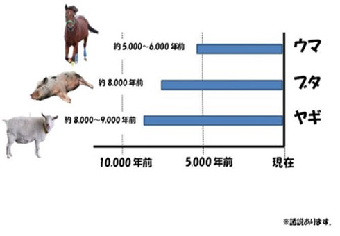 動物クイズ キッズページ 公益財団法人 えどがわ環境財団 動物クイズ キッズページ 公益財団法人 えどがわ環境財団